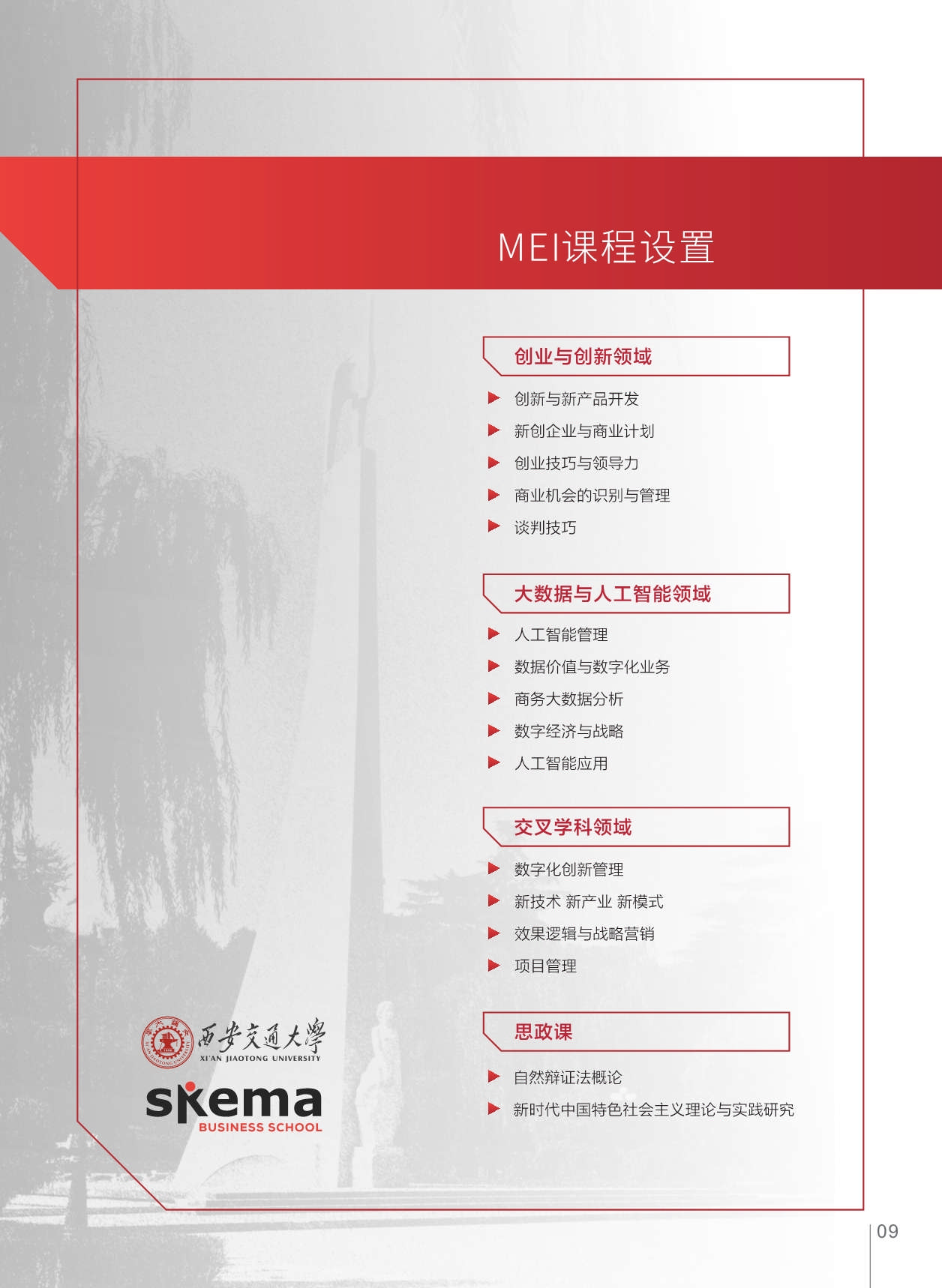 西安交通大学-法国SKEMA商学院创业与创新管理硕士_第11页