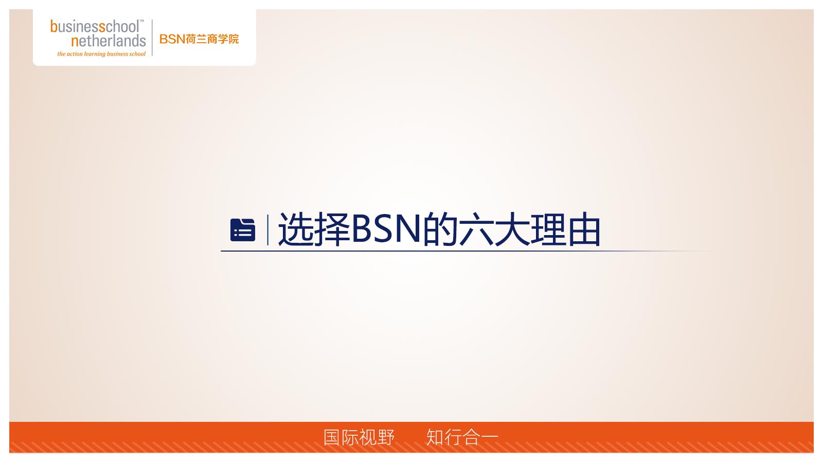 BSN荷兰商学院MBA（线上）